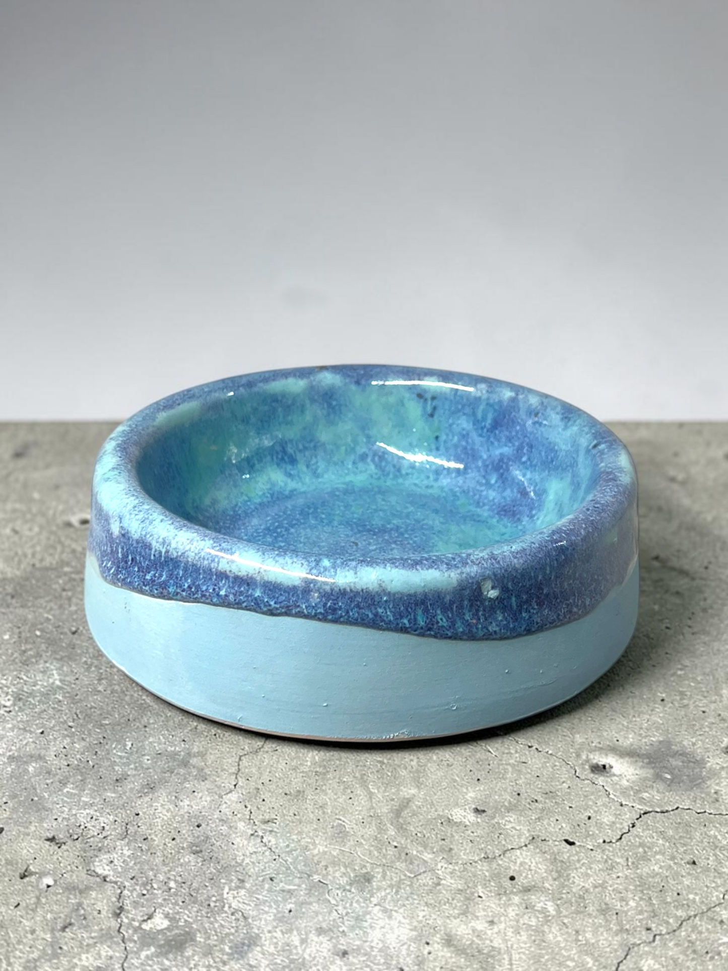 Avatar blue dog bowl
